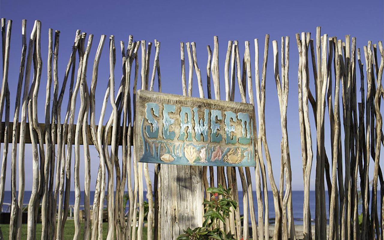 Jakes Hotel Treasure Beach Exterior photo